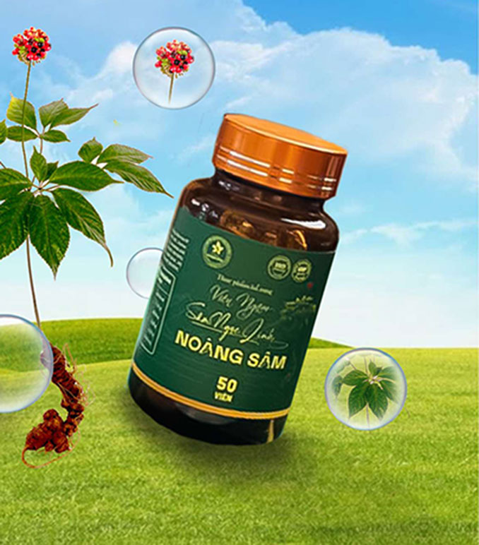 Viên ngậm Sâm Ngọc Linh