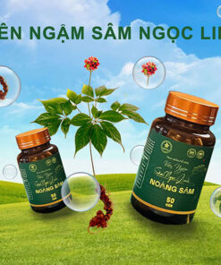 Viên ngậm Sâm Ngọc Linh